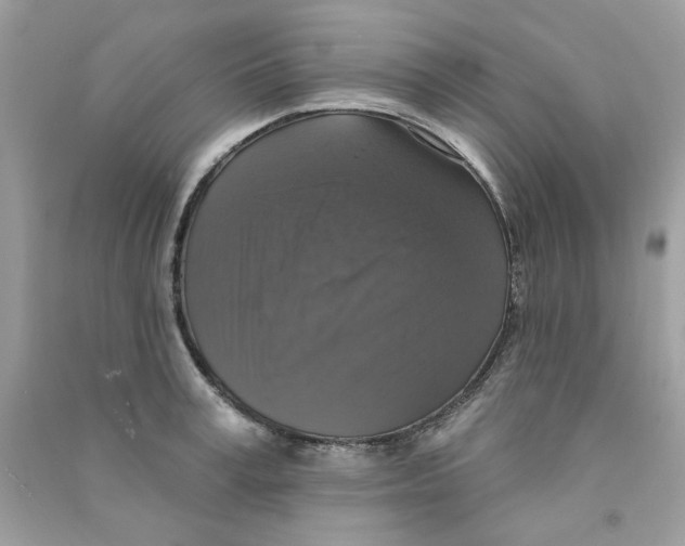 X0000090770995200708172104