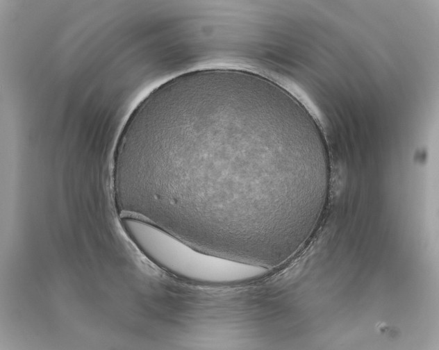 X0000090770996200708172104
