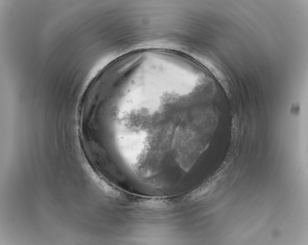 X0000090770998200708172104