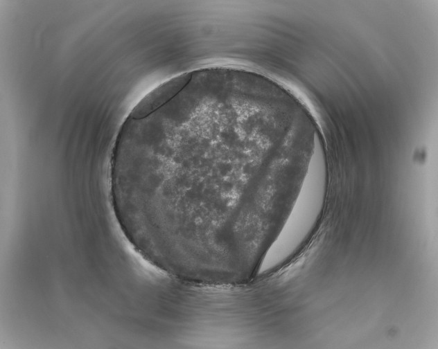 X0000090770999200708172104