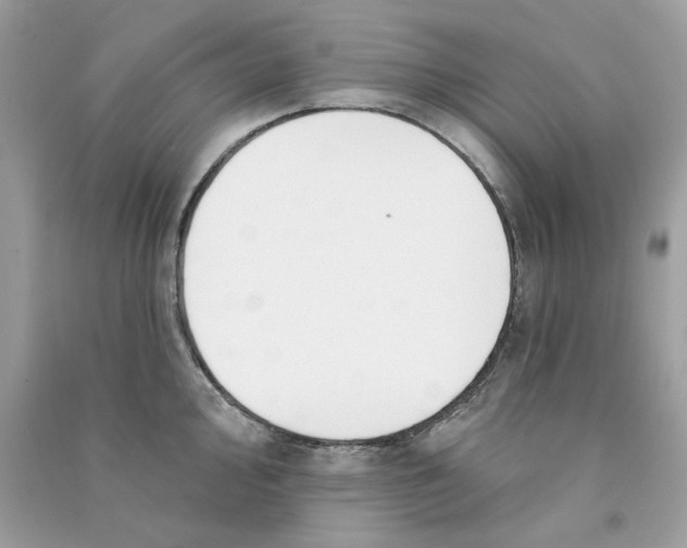 X0000090771000200708172104