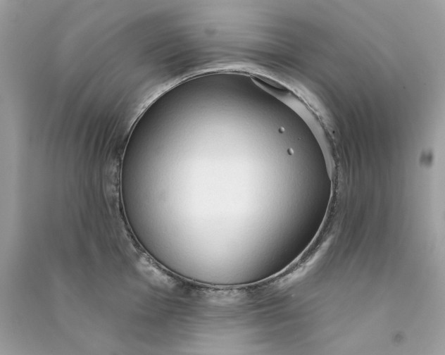 X0000090771001200708172104