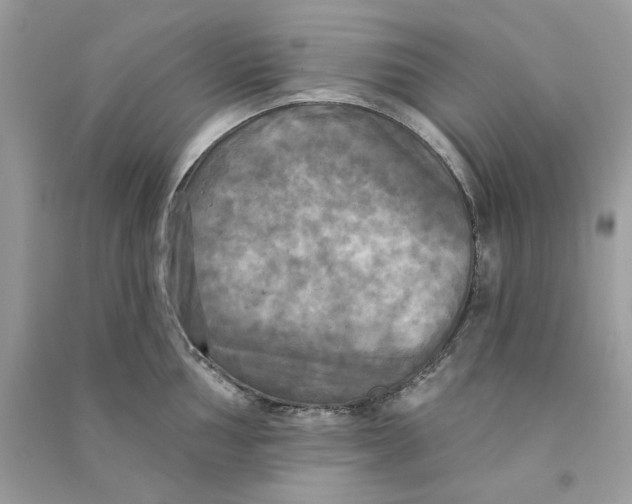 X0000090771002200708172104