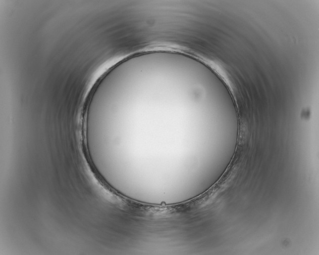 X0000090771003200708172104