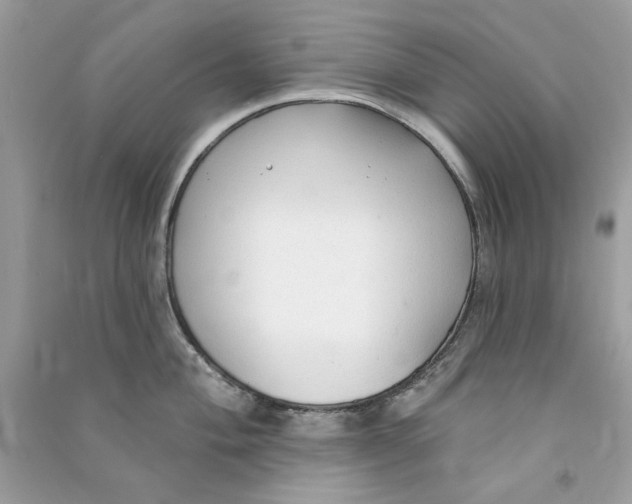 X0000090771004200708172104