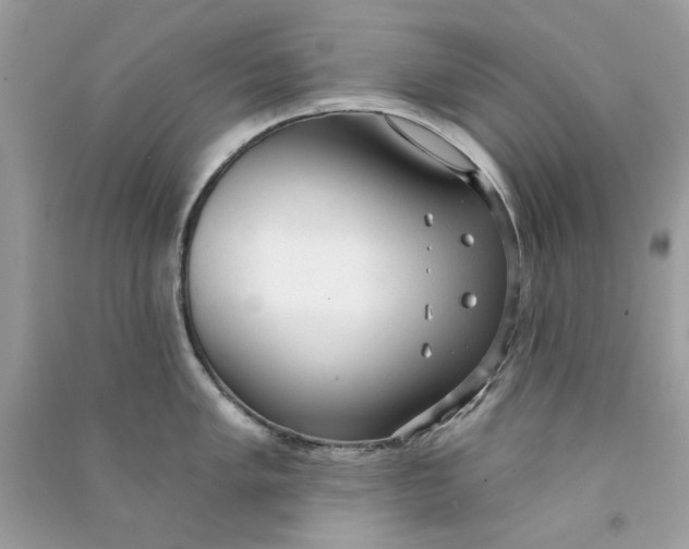 X0000090771005200708172104