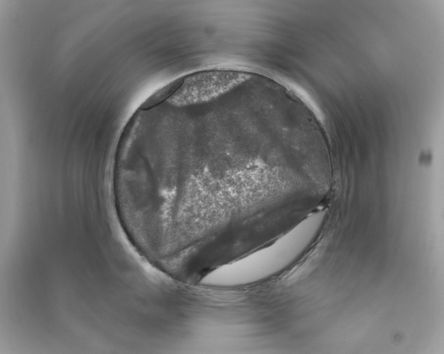 X0000090771007200708172104