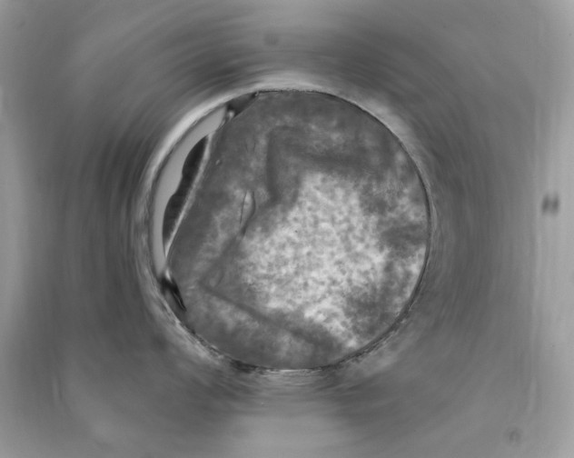 X0000090771008200708172104