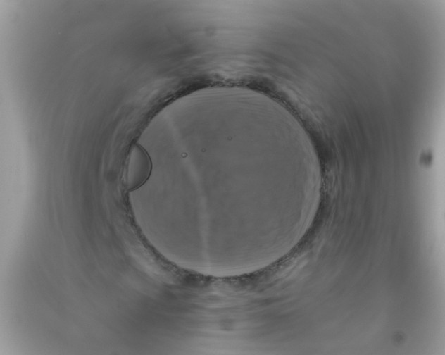 X0000090771009200708172104