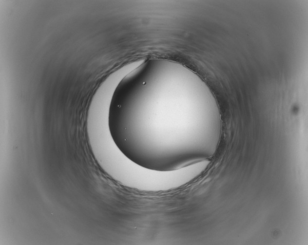 X0000090771010200708172104