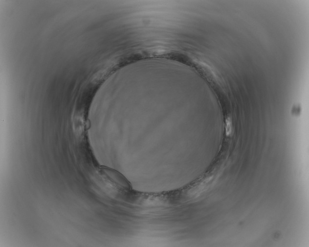 X0000090771011200708172104