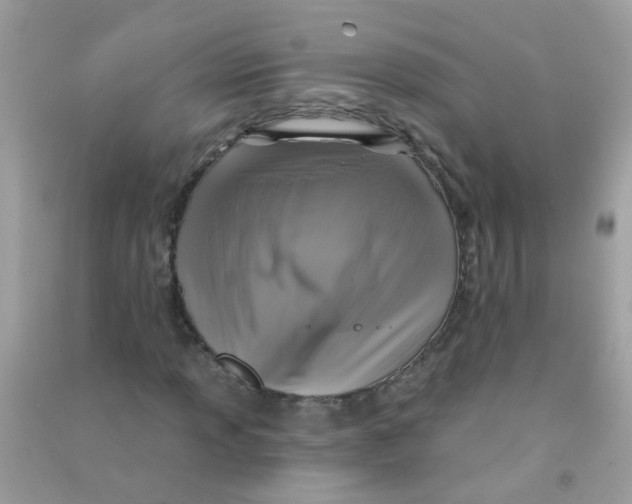 X0000090771013200708172104