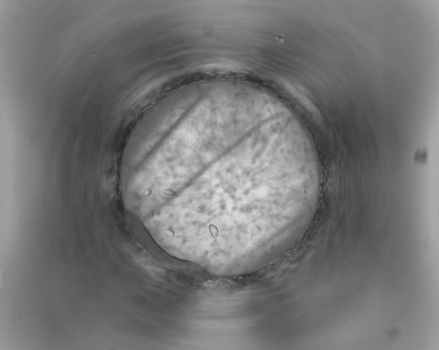 X0000090771015200708172104