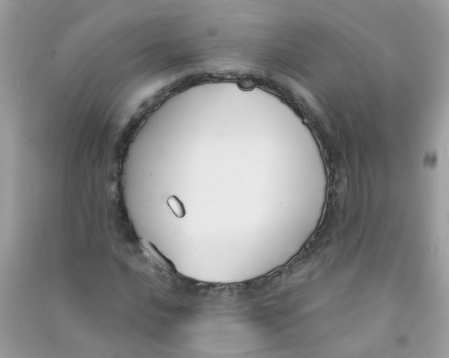 X0000090771016200708172104