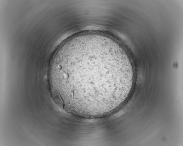 X0000090771017200708172104