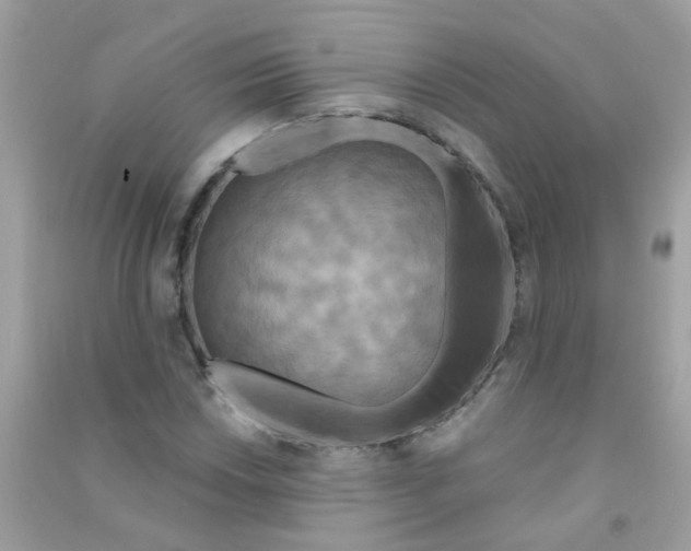 X0000090771018200708172104