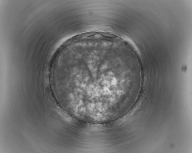 X0000090771019200708172104