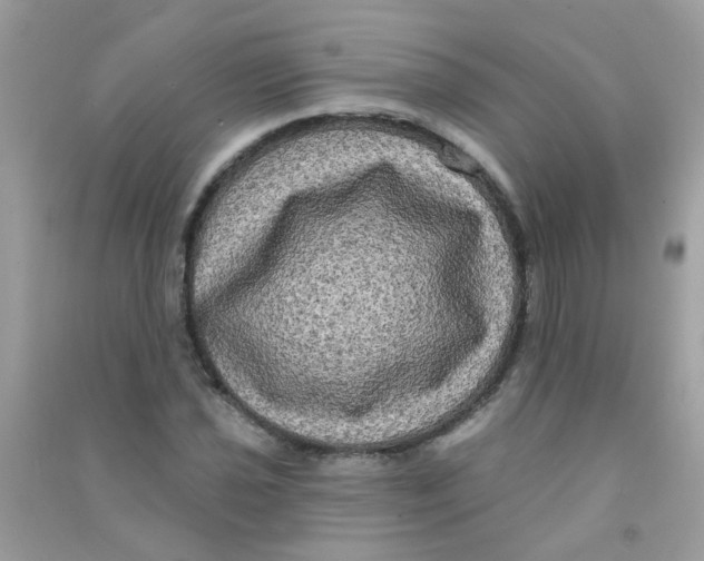 X0000090771021200708172104