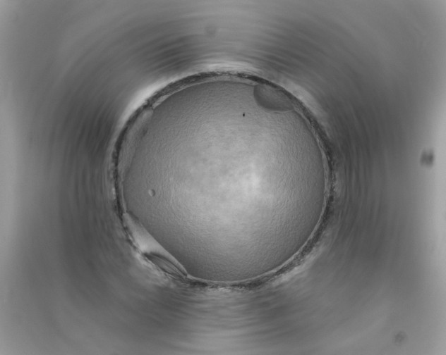 X0000090771022200708172104
