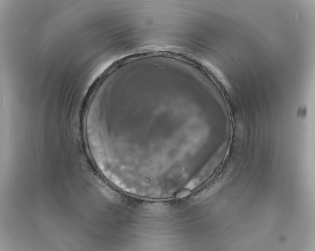 X0000090771023200708172104