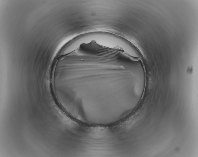 X0000090771024200708172104