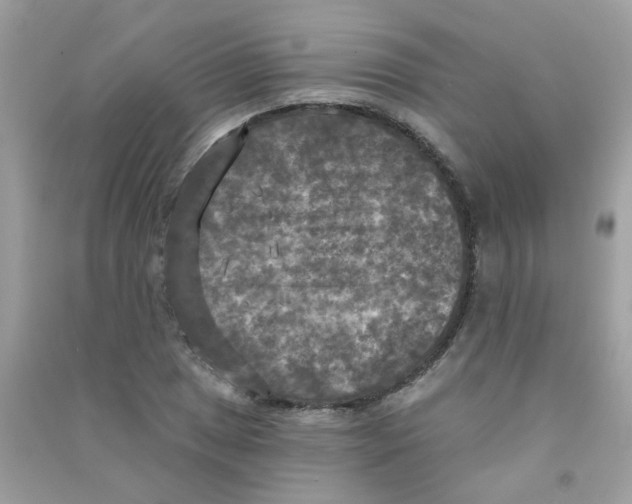 X0000090771025200708172104
