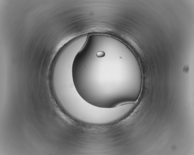 X0000090771026200708172104