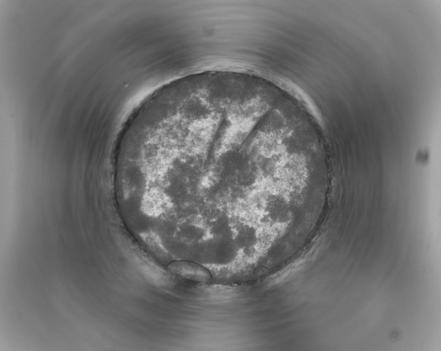 X0000090771027200708172104