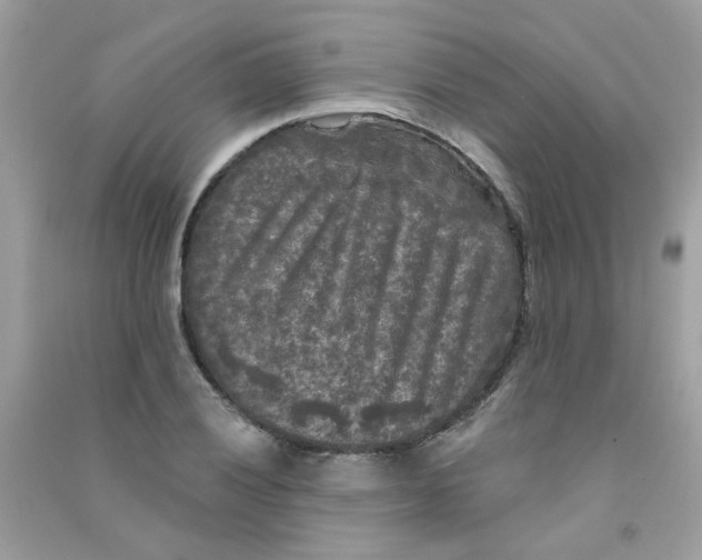 X0000090771028200708172104