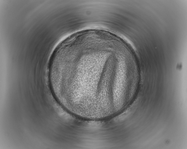 X0000090771029200708172104