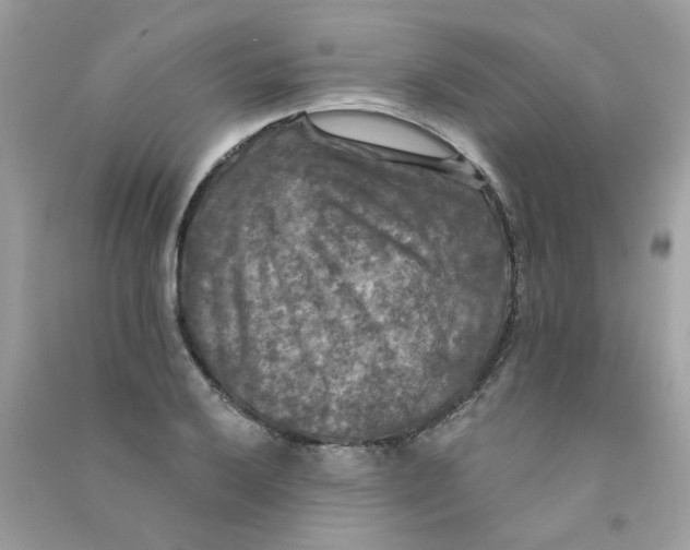 X0000090771032200708172104