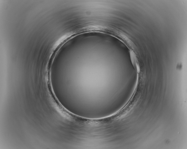 X0000090771034200708172104