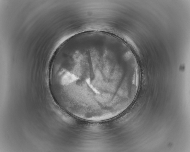 X0000090771035200708172104