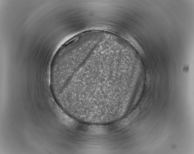 X0000090771036200708172104