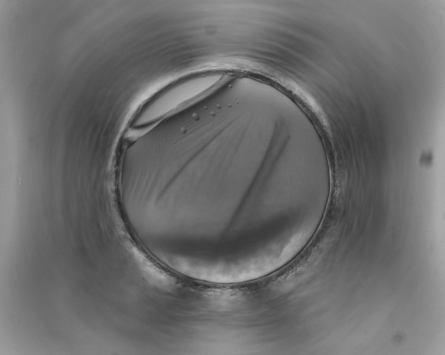 X0000090771037200708172104
