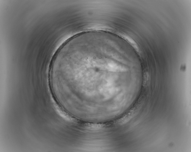 X0000090771039200708172104