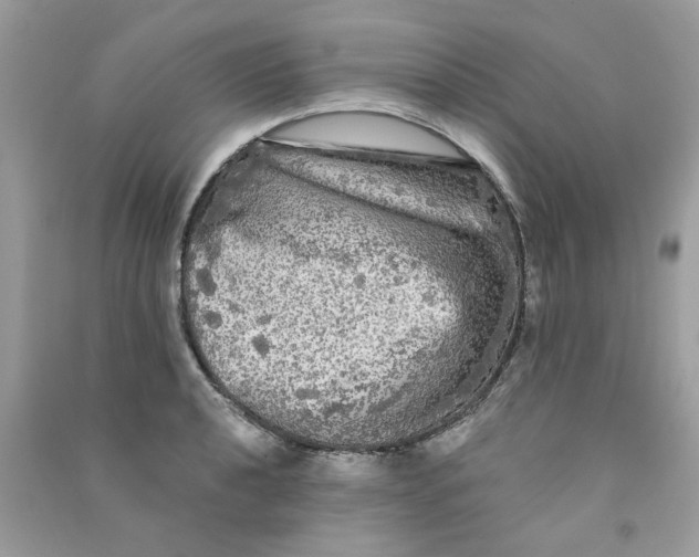 X0000090771040200708172104