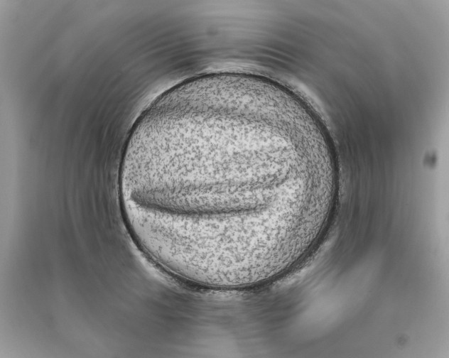 X0000090771041200708172104