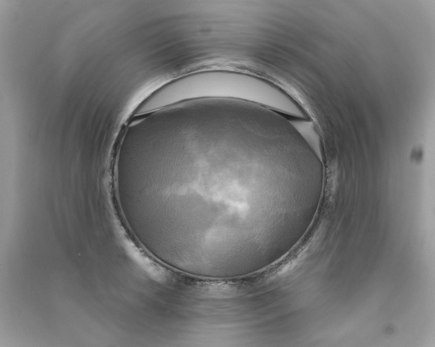 X0000090771042200708172104