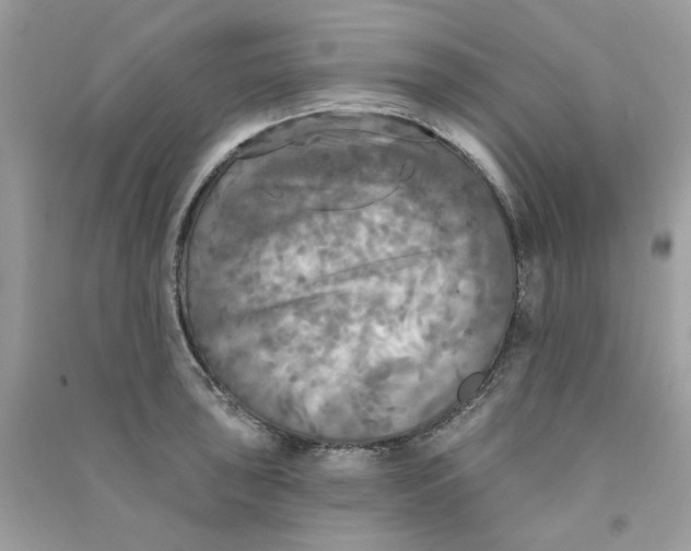 X0000090771043200708172104