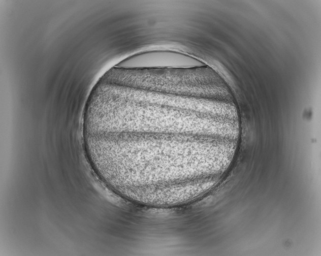 X0000090771044200708172104