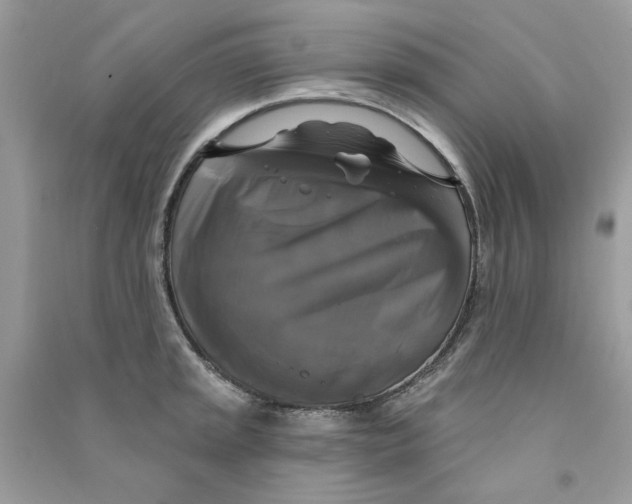 X0000090771045200708172104