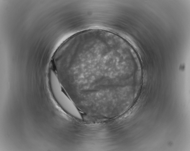 X0000090771048200708172104