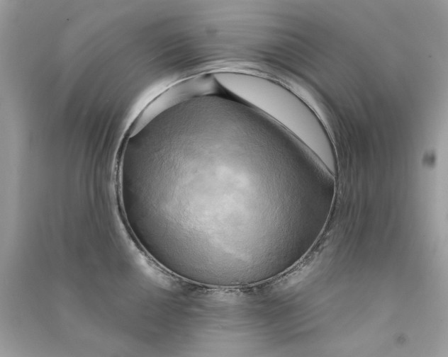 X0000090771050200708172104
