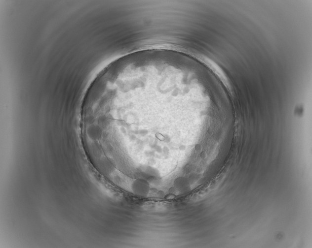 X0000090771051200708172104