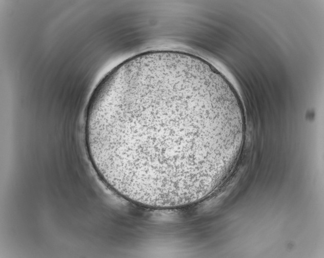 X0000090771053200708172104