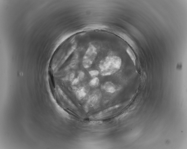X0000090771055200708172104