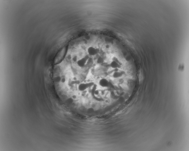 X0000090771059200708172103