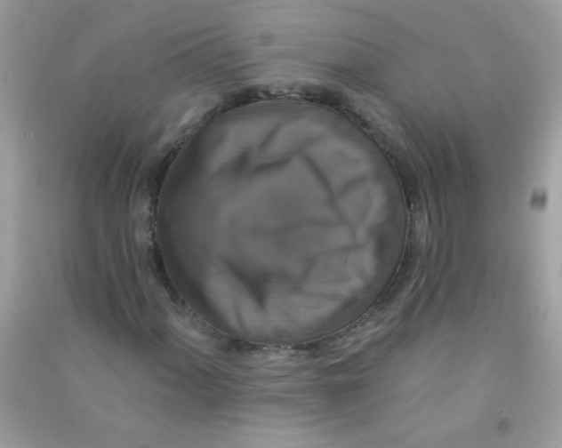 X0000090771060200708172103