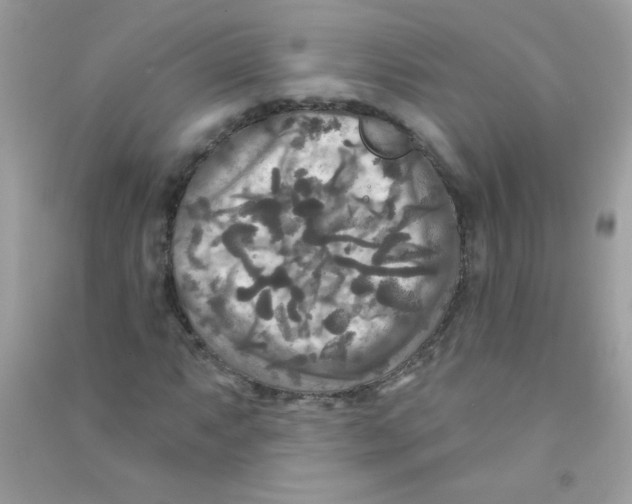 X0000090771063200708172103